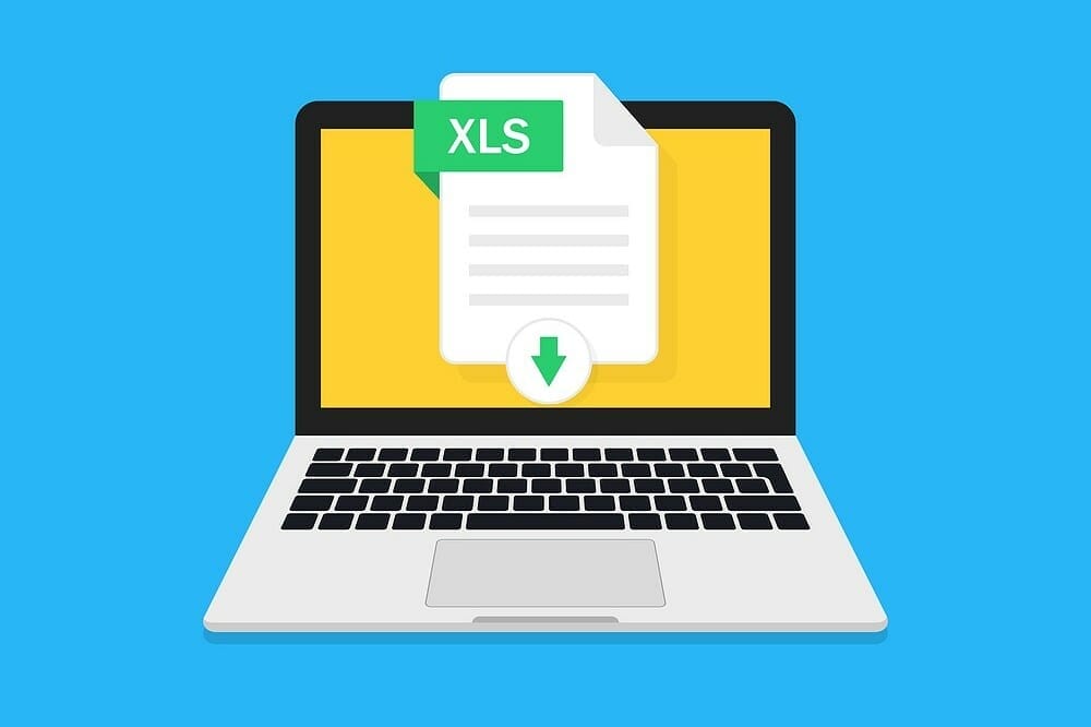 Excel file with Laptop